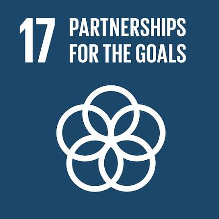 SDG 17: Partnerships
